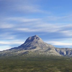 Meet your Posher, Mia